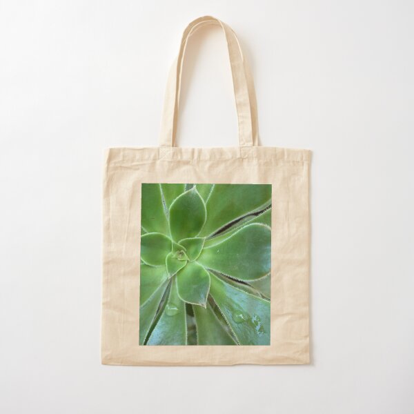 Aperçu de l'œuvre Plante succulente créée et vendue par Pauline O'Brien.