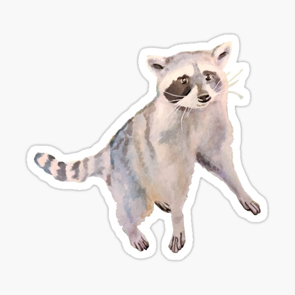 Watercolor Raccoon Printable Stickers Graphic by amaydastore