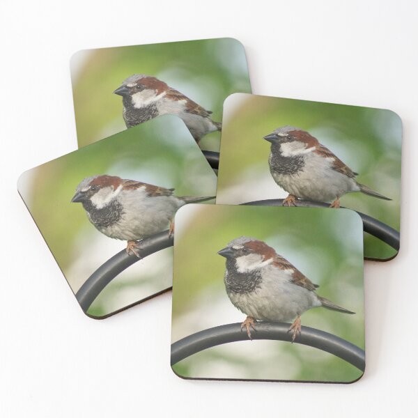 Item preview, Keep Your Eye On The Sparrow  designed and sold by Lanis Rossi.