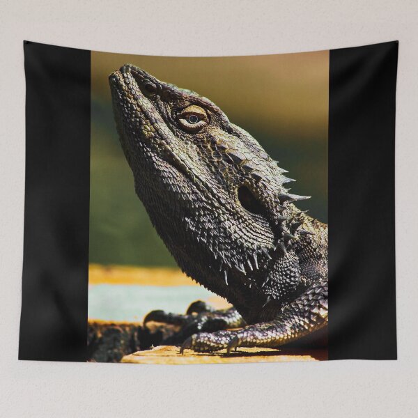 Item preview, "Look Sharp" Lizard sunning on log - Stanthorpe - QLD designed and sold by Ohlordi.