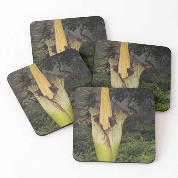 Item preview, Corpse Lily Closing designed and sold by Carole-Anne.