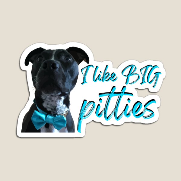 I like big pitties Magnet