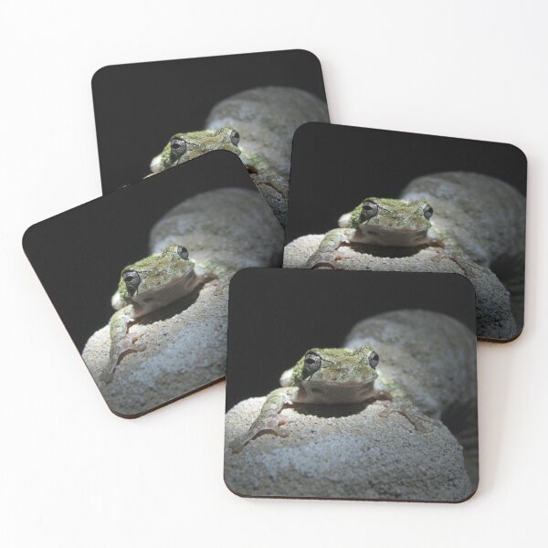 Item preview, Mr. Frog designed and sold by Elizabeth Burton.