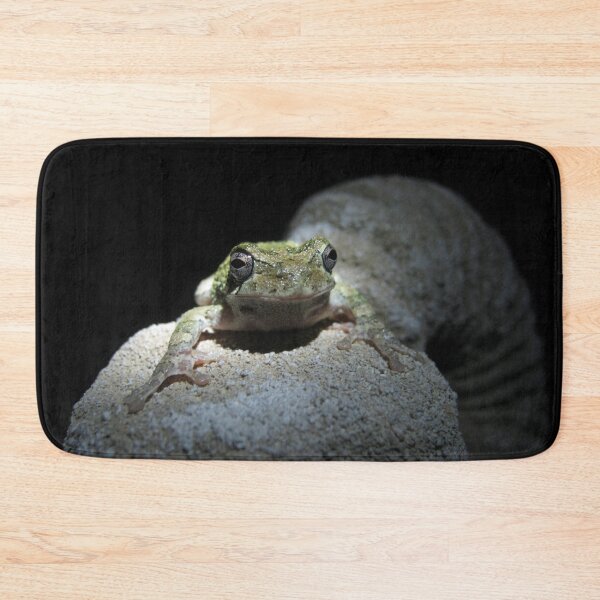 Item preview, Mr. Frog designed and sold by Elizabeth Burton.