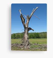 Gandalf Tree Canvas Print