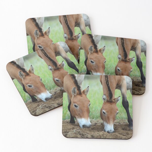 Item preview,  Przewalski's Horses, Mongolia designed and sold by Carole-Anne.