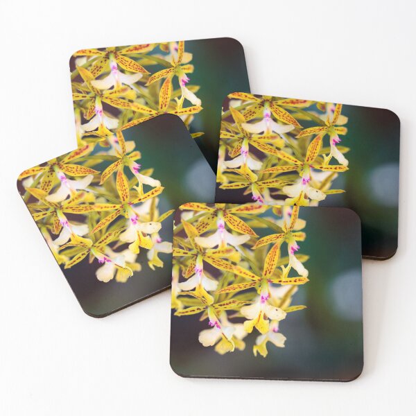 Item preview, Yellow spyder orchids brassia designed and sold by Gaël FONTAINE.