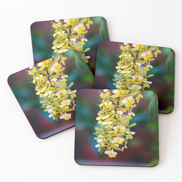 Item preview, Yellow spyder orchids brassia designed and sold by Gaël FONTAINE.