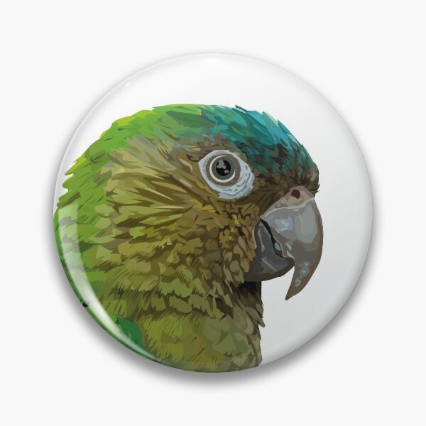 Item preview, Brown-throated Parakeet designed and sold by obscurite.