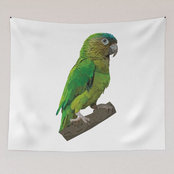 Item preview, Brown-throated Parakeet designed and sold by obscurite.