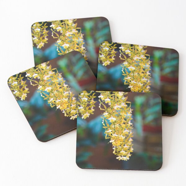 Item preview, Yellow spyder orchids brassia designed and sold by Gaël FONTAINE.