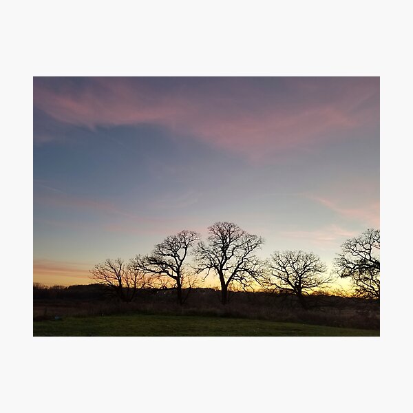 Autumn Sunset Silhouette - Pheasant Branch Conservancy Photographic Print