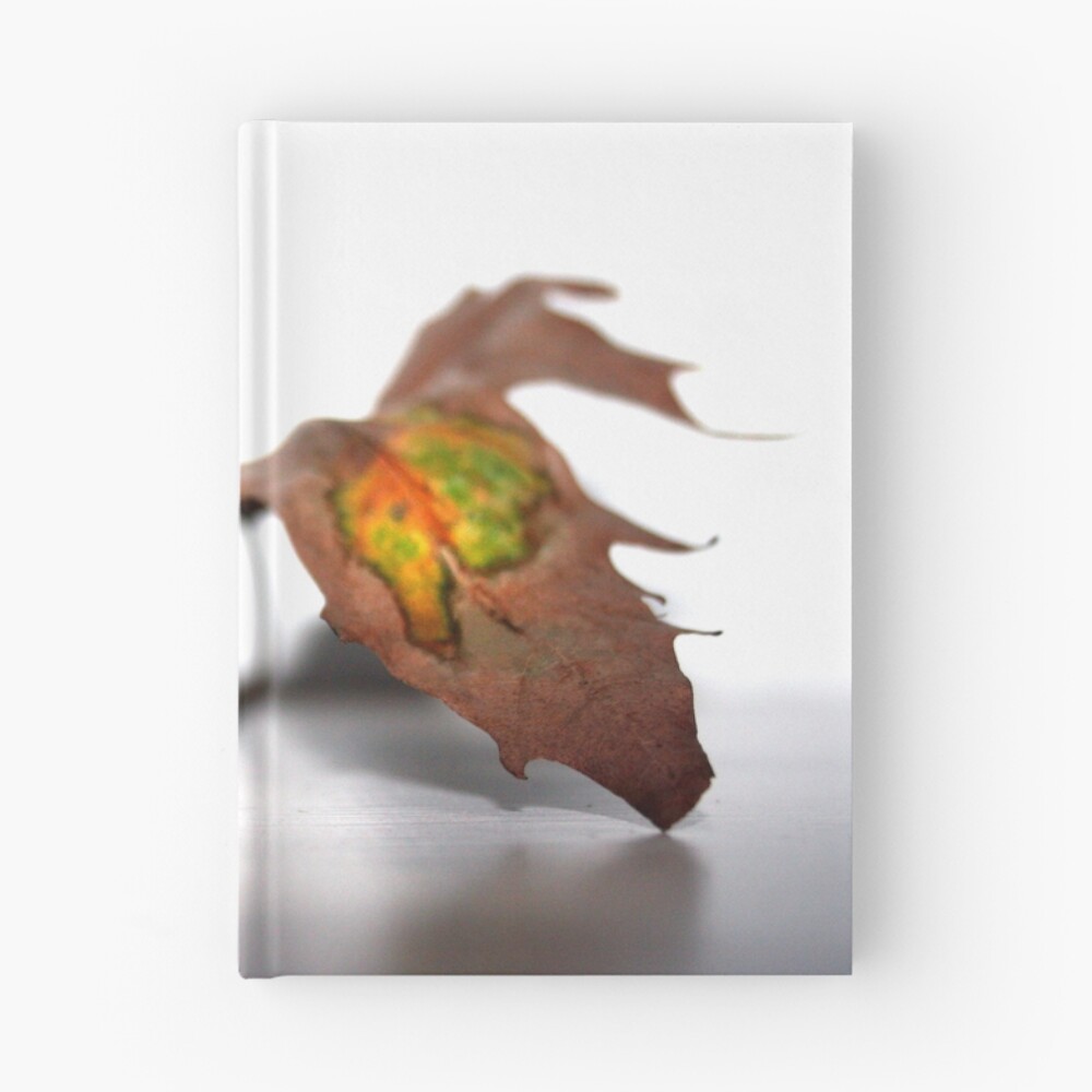 Artikel-Vorschau von Notizbuch, designt und verkauft von Rozene.