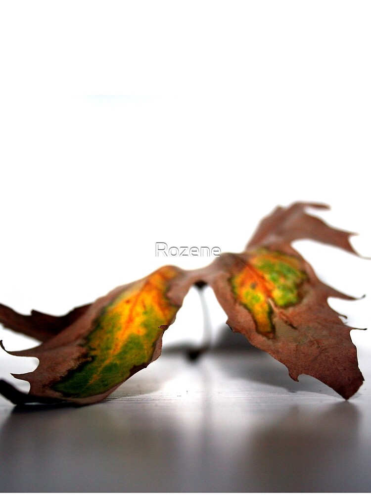 Thumbnail 3 von 3, Tuch, Autumn Leaf designt und verkauft von Rozene.