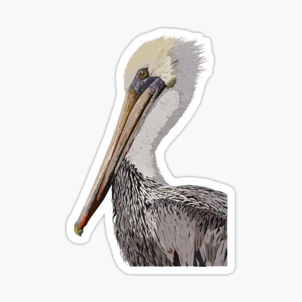Item preview, Brown pelican designed and sold by obscurite.