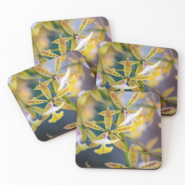 Item preview, Yellow spyder orchids brassia designed and sold by Gaël FONTAINE.