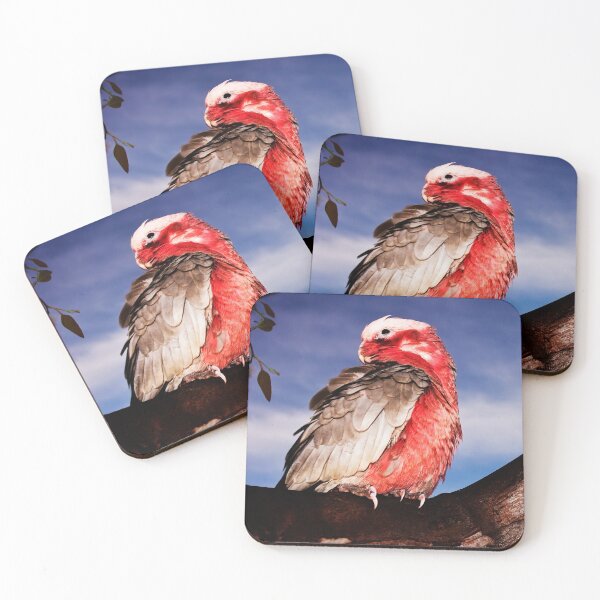 Item preview, "Birds-eye View"-Galah on Eucalypt Limb designed and sold by Ohlordi.