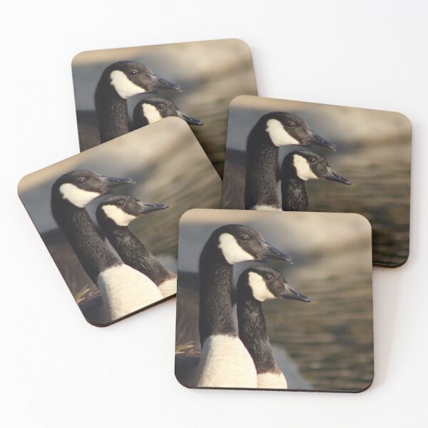 Item preview, Canada Geese designed and sold by EyeMusic.