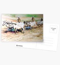 Ploughing Field Postcards