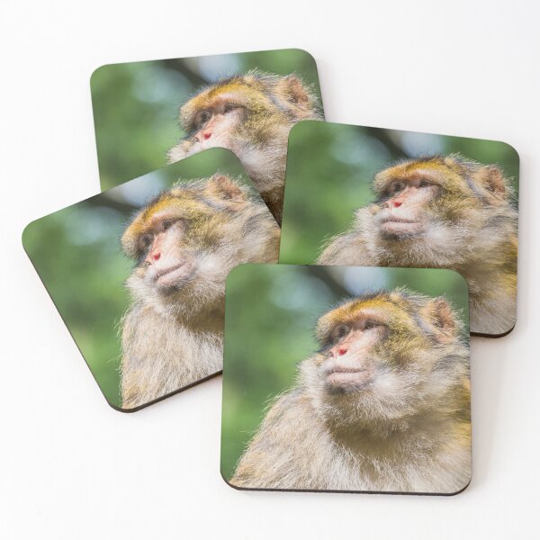 Item preview, Barbary macaque enjoying some sunshine designed and sold by wellsie82.