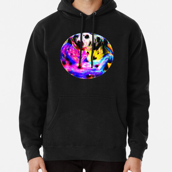 Adversarial Anti-Facial Recognition Invisibility Camouflage Pullover Hoodie