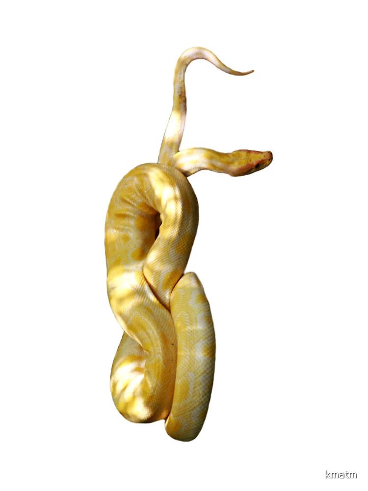 Thumbnail 5 of 5, iPhone Case, Yellow Python designed and sold by kmatm.