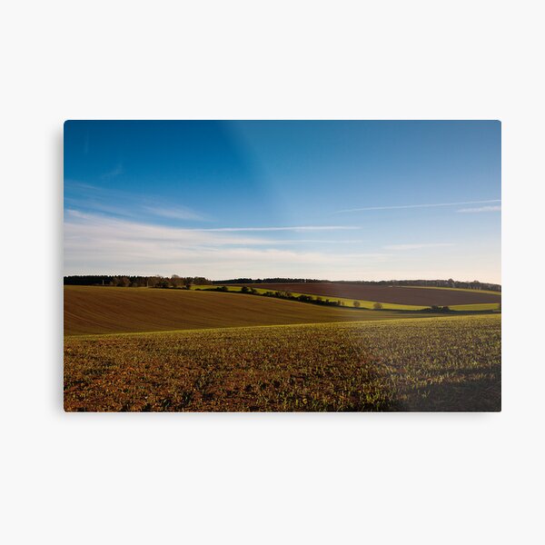 Spring Crop Metal Print