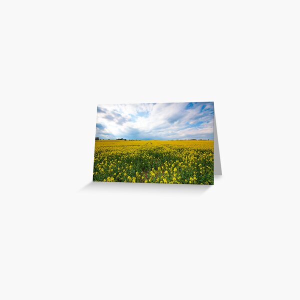 Wishing For Summertime Greeting Card