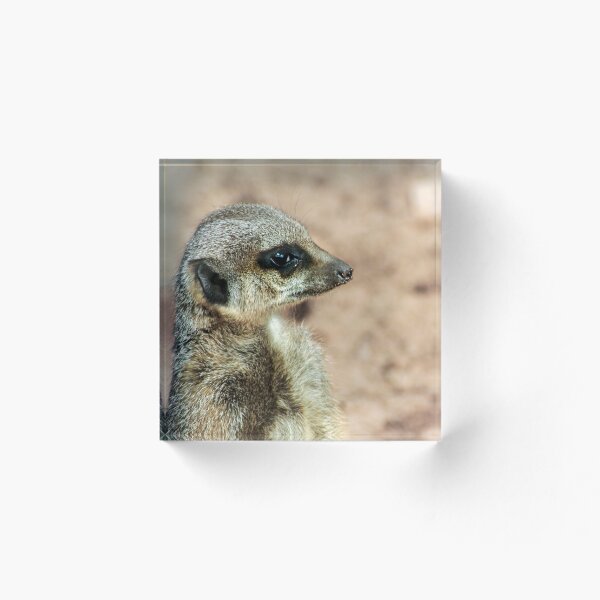 Item preview, Lovely side view of meerkat designed and sold by KcsArt87.