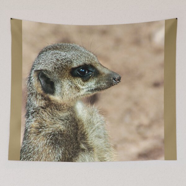 Item preview, Lovely side view of meerkat designed and sold by KcsArt87.