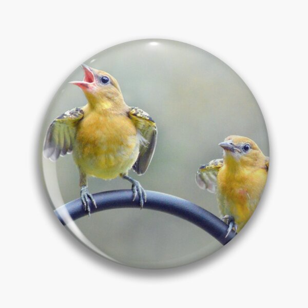 Item preview, Oriole Fledglings designed and sold by Laurie Minor.