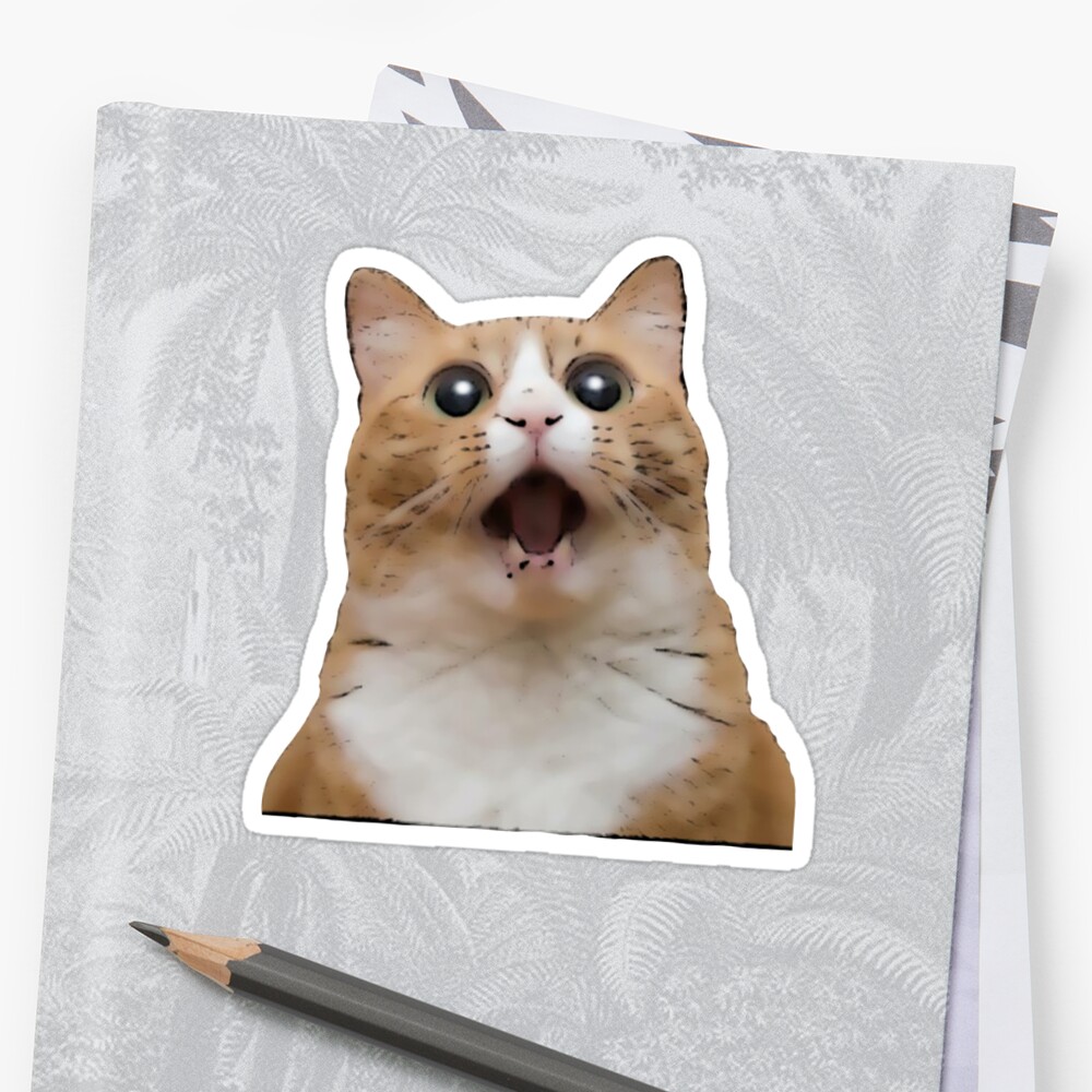 "cute cat meme - kawaii kitty neko" Sticker by SketchyDuette | Redbubble