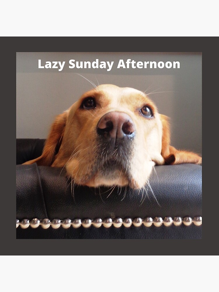 Lazy Sunday Afternoon, dog image. by Bagsyrose