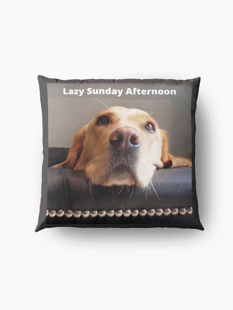 Alternate view of Lazy Sunday Afternoon, dog image. Floor Pillow