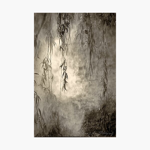 Weeping Photographic Print