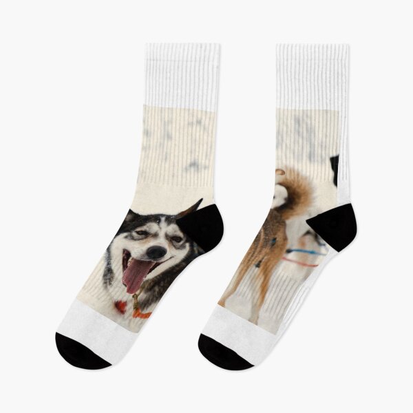 Item preview, Sled dogs designed and sold by Klaus Brandstaetter.