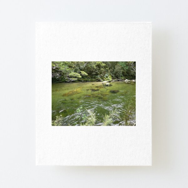 Milford Track 7 Canvas Mounted Print