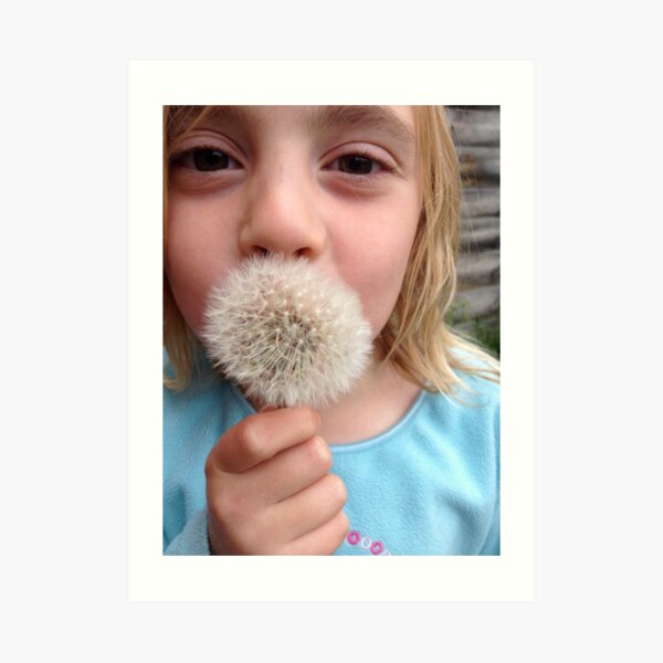 Dandelion clock 2 Art Print