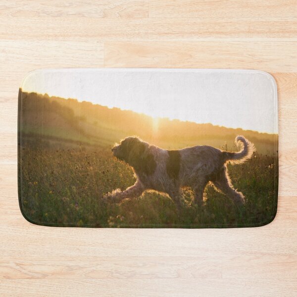 Artikelvorschau, Langsamer Sonnenuntergang Spinone entworfen und verkauft von FOLK ART FUSION by heidiannemorris.