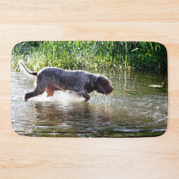 Item preview, River splashing Spinone designed and sold by FOLK ART FUSION.
