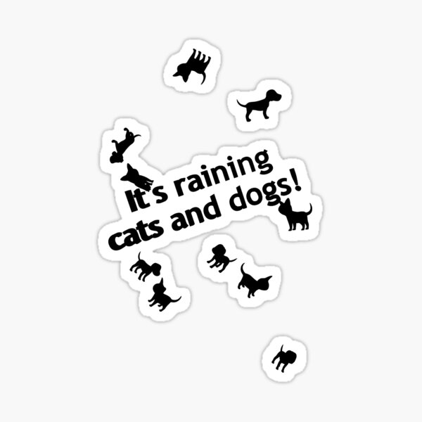 It's raining cats and dogs! Sticker