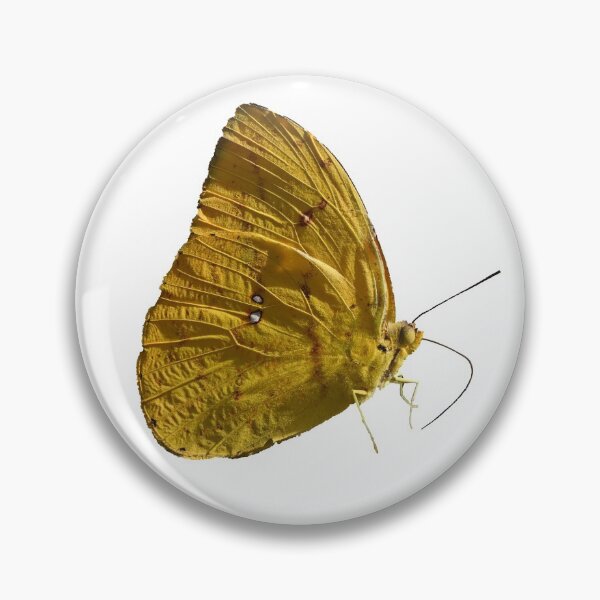 Aperçu de l'œuvre Papillon de soufre jaune créée et vendue par Samvara.