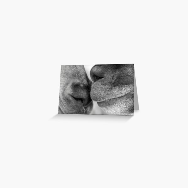 Friends Greeting Card
