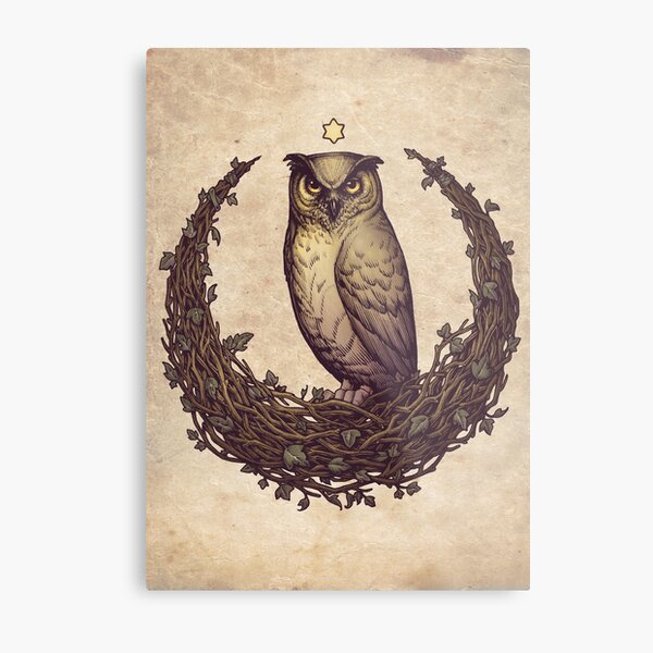 Owl Hedera Moon Metal Print