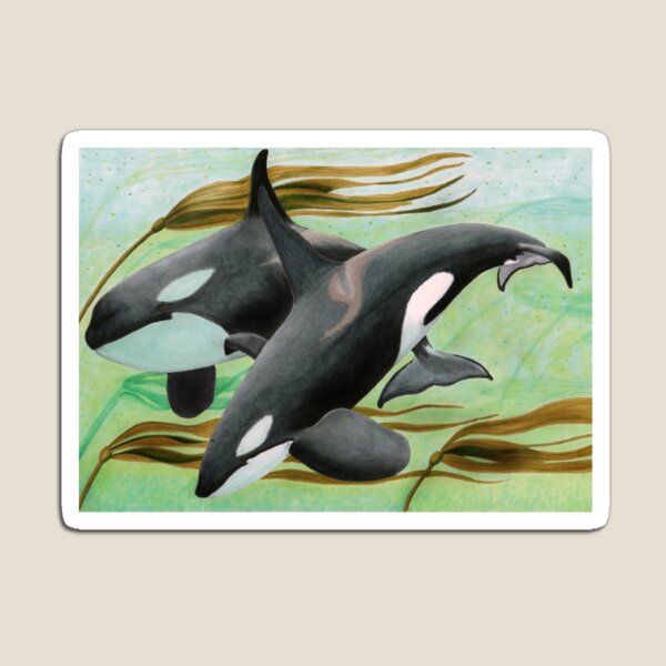 Mama's Boy Magnet