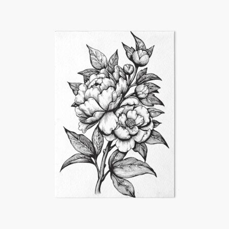 PEONIES - Lineart Art Board Print