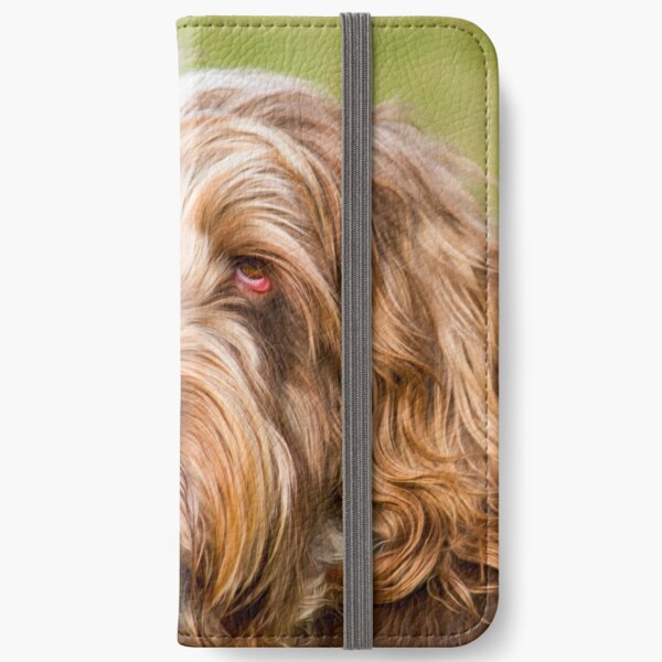 Soft and fluffy Spinone iPhone Wallet