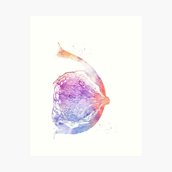 Art Prints | Redbubble