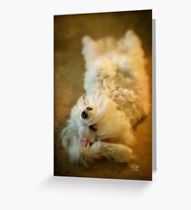 Crash Landing Upside Down Greeting Card