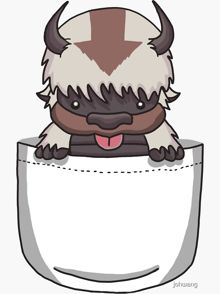 appa pocket pop